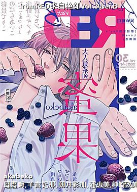 fromRED޺Vol.30ver.B
